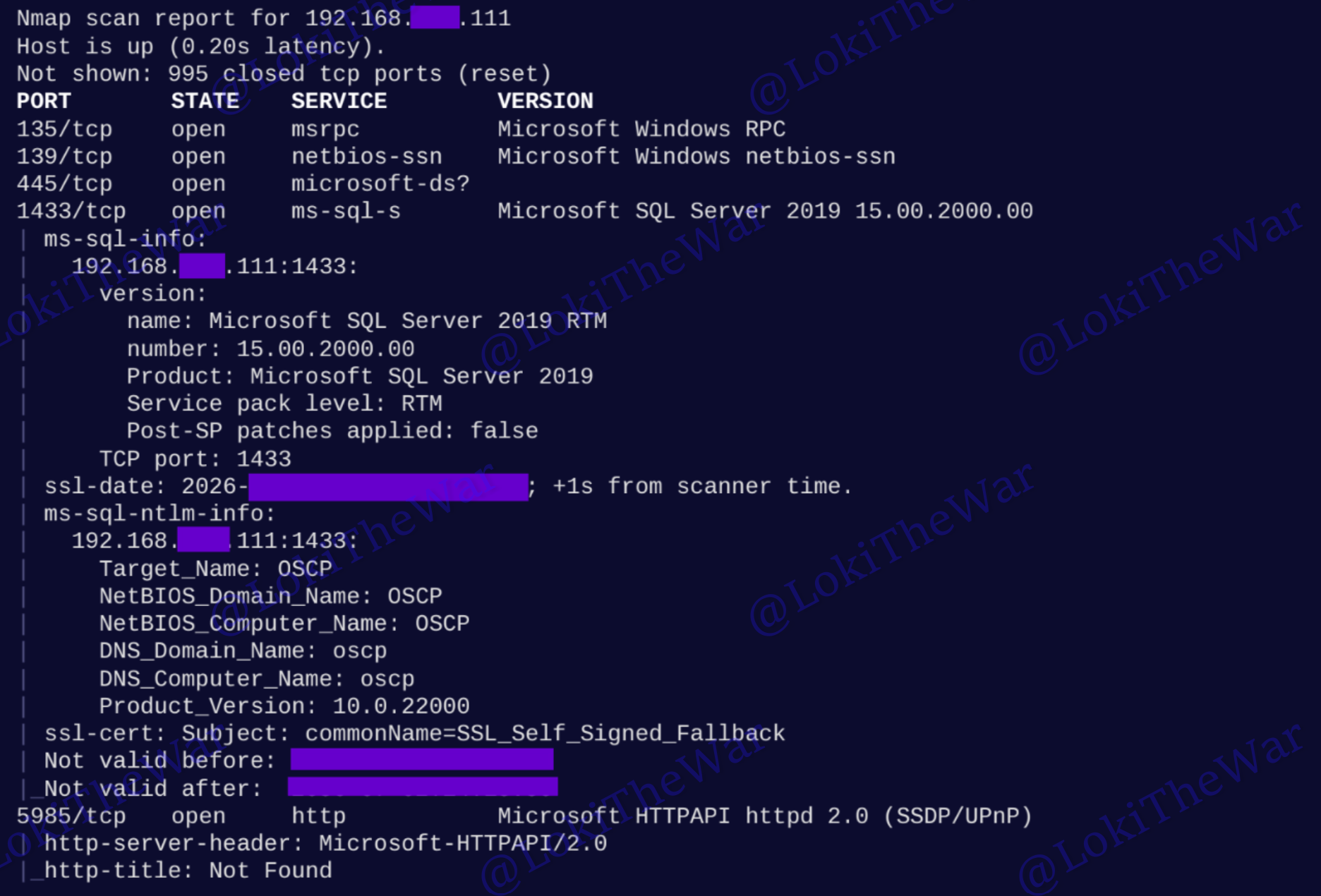 OSCP+ .111 135 139 445 1433 Standalone Machine Report