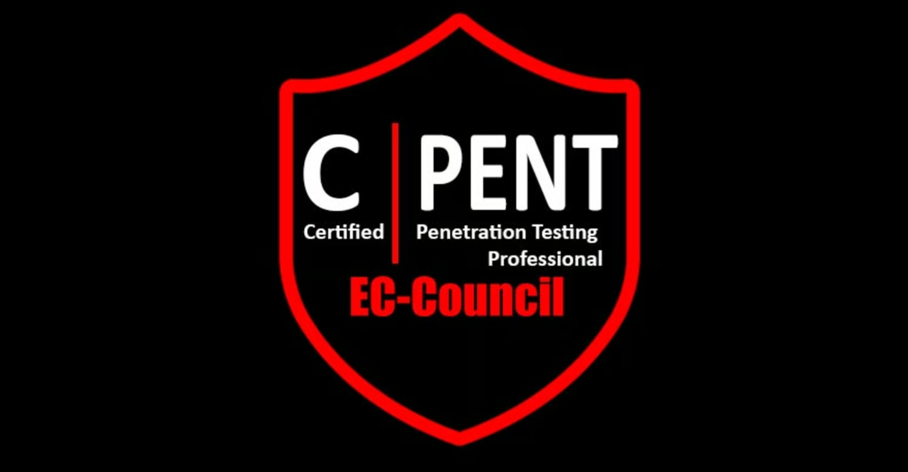 CPENT Exam Report 2 Sets with screenshots - May 2026